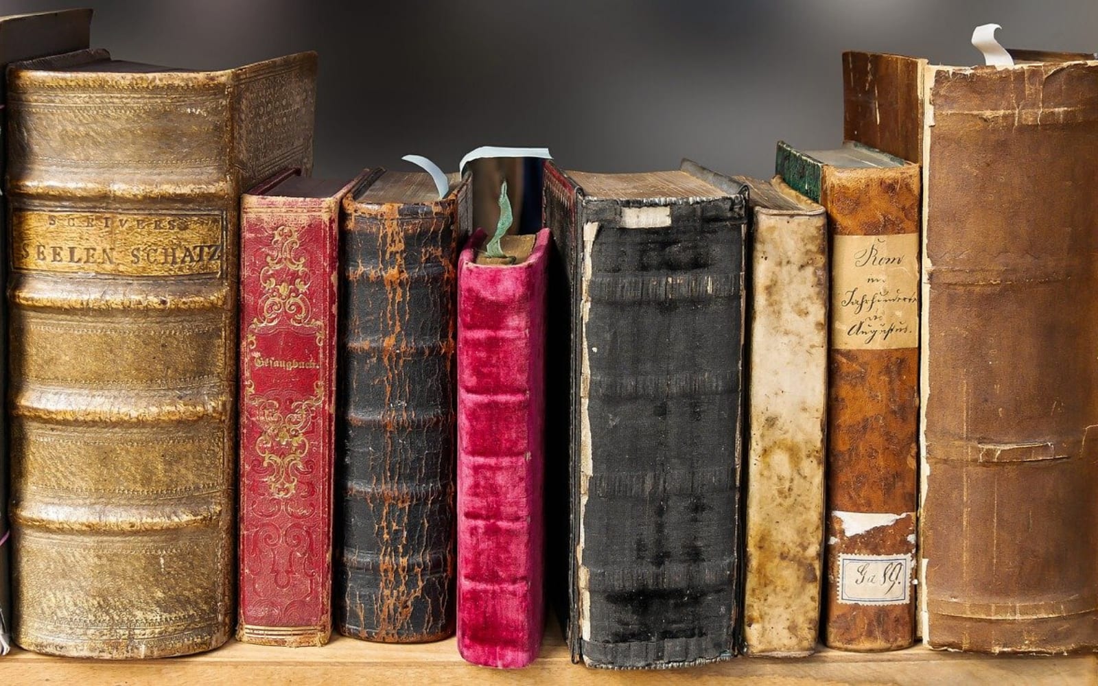 Book shelf shown with own books.